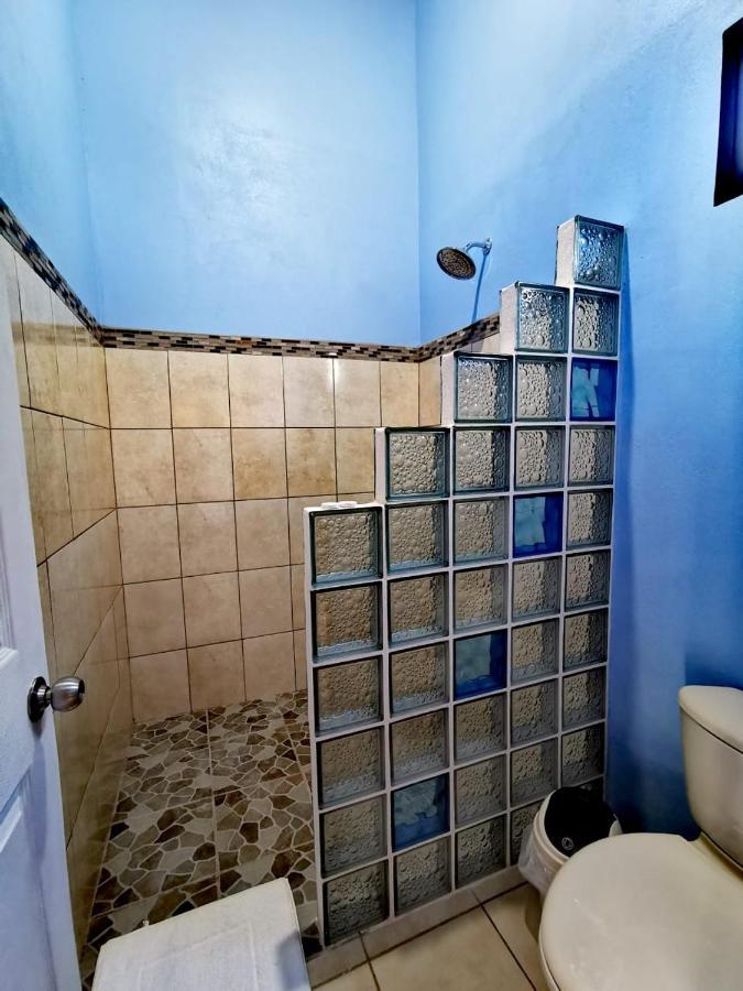 Monteluna Studios Monteverde Dış mekan fotoğraf